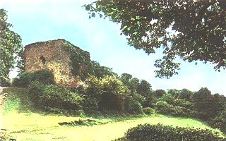 Ruine Limberg