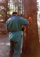 Wegewart bei der Arbeit