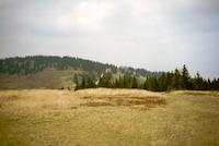 Wanderwegweiser bei Ernstbrunn